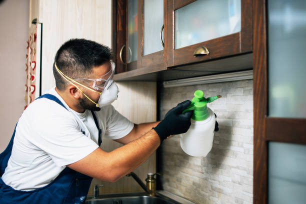 Best Wildlife Control Services  in Cao, ND