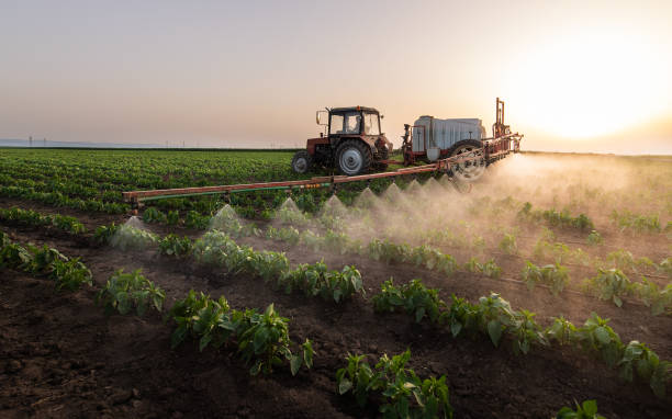 Professional Pest Control in Cando, ND