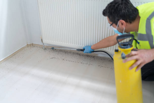 Flea Control Services in Cando, ND