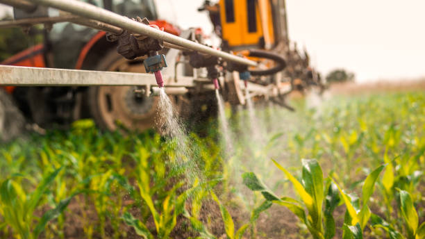 Best Mosquito Control Services  in Cao, ND