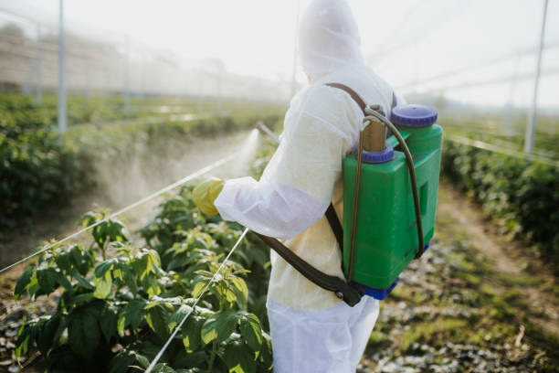 Best Affordable Pest Control Services  in Cao, ND